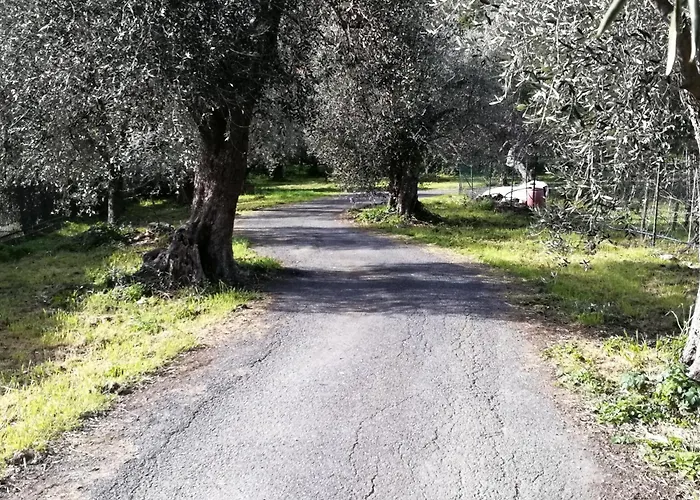 Διαμέρισμα Antico Mulino