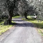 דירה Antico Mulino