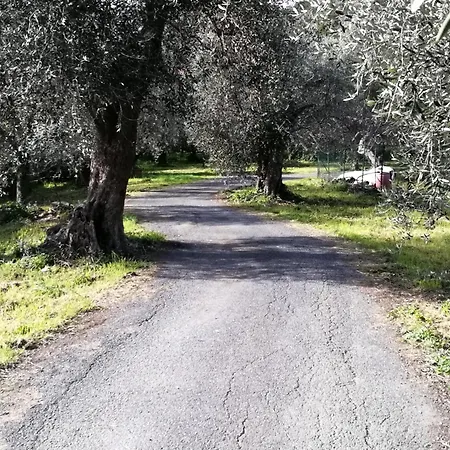 Apartment Antico Mulino